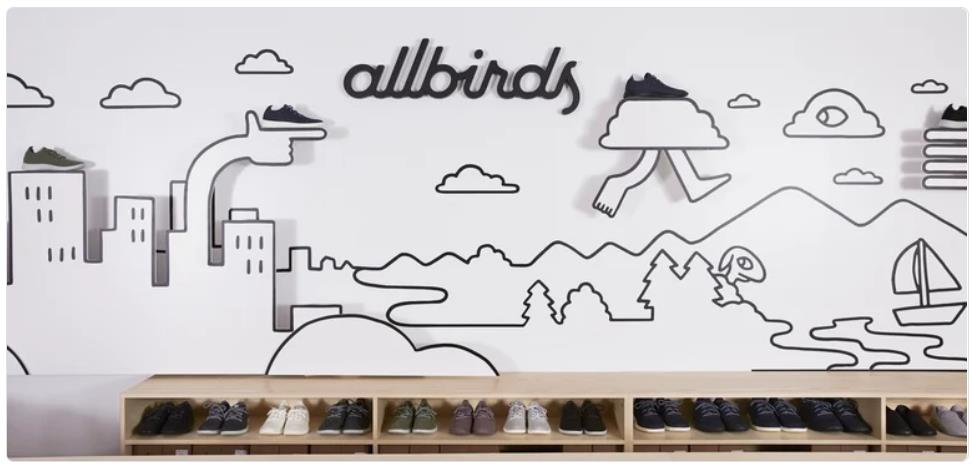 Allbirds store interior featuring a creative wall design with the brand name, shoes displayed on shelves, and playful illustrations of nature and urban elements.