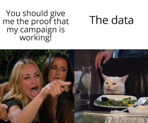 Meme depicting a frustrated woman demanding proof of campaign effectiveness alongside a calm cat, illustrating the contrast between emotional responses and data-driven decision-making in marketing strategies.
